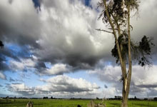 问鼎娱乐官网：Singlife赞助我国英式女篮队 共庆新加坡建国60周年.